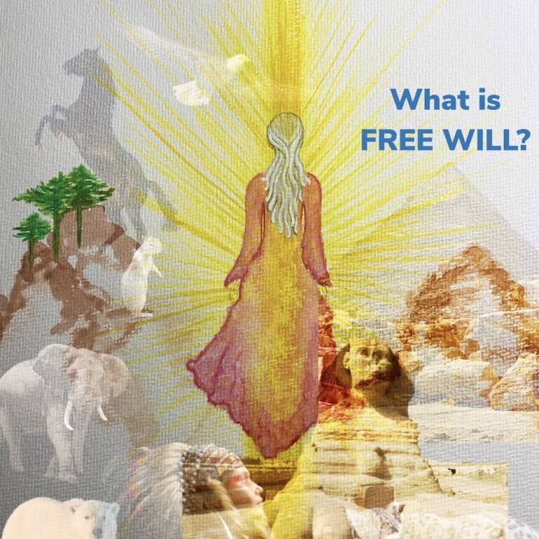 what is free will