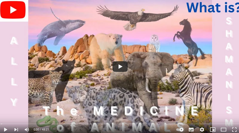 poster-video-press-the-medicine-of-animals