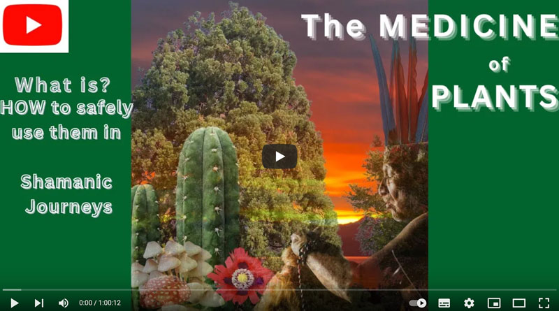 poster-video-press-the-medicine-of-plants